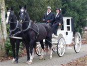 Bruiloft links