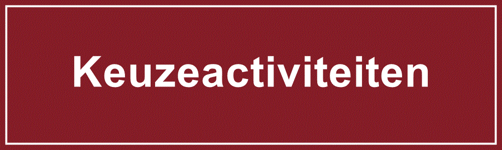activiteiten